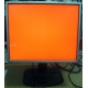 Монитор 19" TFT HP 1955 (DVI в Солнечногорске, USB-хаб) "квадратный" (Солнечногорск)