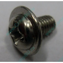 Компьютерный винт "малый" PW-M3x6mm (Солнечногорск)