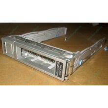 Салазки Sun 350-1386-04 в Солнечногорске, 330-5120-04 1 для HDD (Солнечногорск)