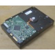 Жесткий диск HP 250Gb 7200 rpm 432337-001/ 399699-001 / 397377-004 (Солнечногорск)