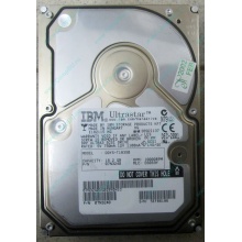 Жесткий диск 18.2Gb IBM Ultrastar DDYS-T18350 Ultra3 SCSI (Солнечногорск)