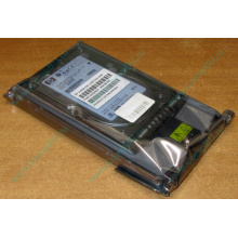 Жёсткий диск 146.8Gb HP 365695-008 404708-001 BD14689BB9 256716-B22 MAW3147NC 10000 rpm Ultra320 Wide SCSI купить в Солнечногорске, цена (Солнечногорск).