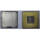 Процессор Intel Celeron D 336 (2.8GHz /256kb /533MHz) SL98W s.775 (Солнечногорск)