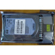 HDD 146.8Gb HP 360205-022 404708-001 404670-002 (Солнечногорск)