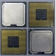 Процессоры Intel Pentium-4 506 (2.66GHz /1Mb /533MHz) SL8J8 s.775 (Солнечногорск)