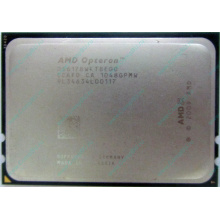 AMD Opteron 6128 OS6128WKT8EGO (Солнечногорск)