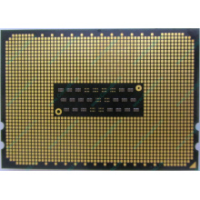 AMD Opteron 6128 OS6128WKT8EGO (Солнечногорск)